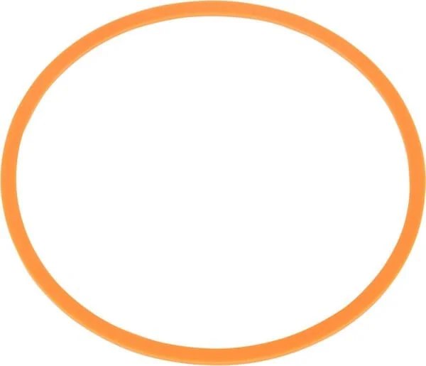 CNH - G109298 - Ring