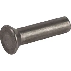 ESM - 5440171AD - Niete 5x20 0.5kg