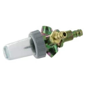 Etesia