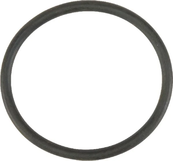 Fendt (AGCO) - F816200710040 - Hebe Pumpe Dichtung