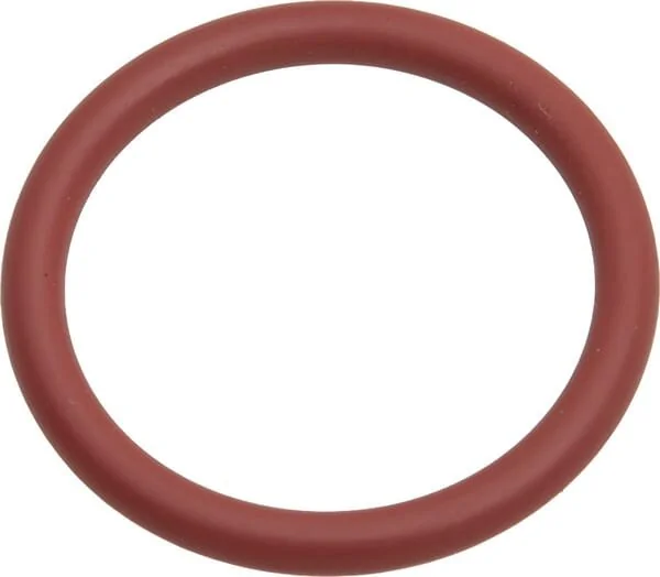 Fendt (AGCO) - F916961022100 - O-Ring