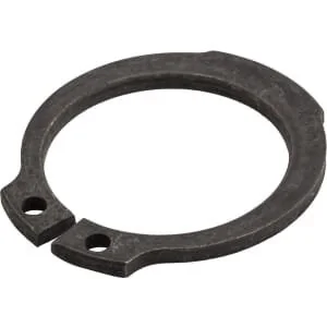 Fpt Industrial - 16866873FPT - Sprengring