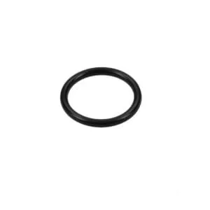 Fpt Industrial - 17291881FPT - O-Ring