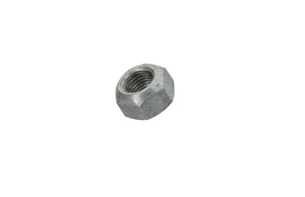 Fpt Industrial - 17309031FPT - Mutter