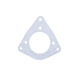 Fpt Industrial - 4851004FPT - Dichtung