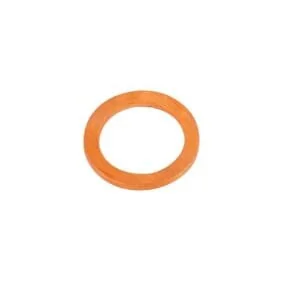 Fpt Industrial - 4894721FPT - Dichtungsring