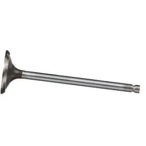 Fpt Industrial - 4895188FPT - Auspuffventil