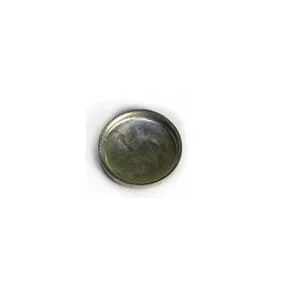 Fpt Industrial - 4895407FPT - Stecker