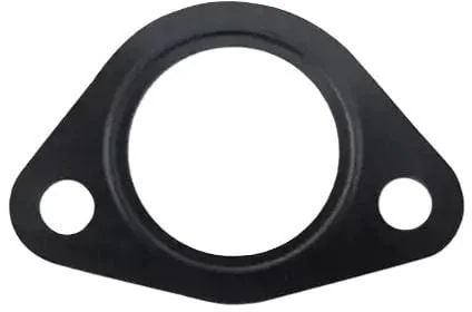 Fpt Industrial - 500343518FPT - Dichtung