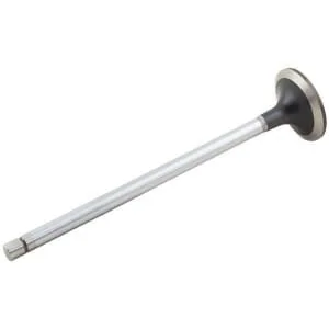Fpt Industrial - 500355778FPT - Einlassventil
