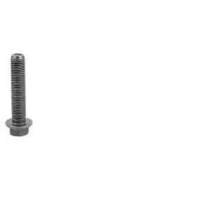 Fpt Industrial - 504015229FPT - Pleuelstangenschraube