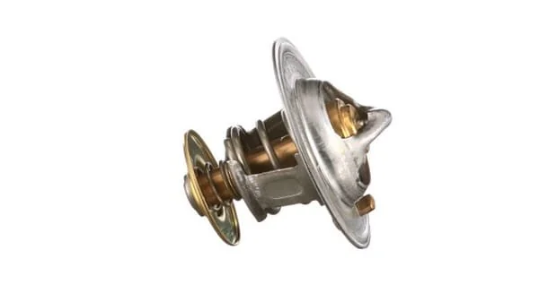 Fpt Industrial - 504038890FPT - Thermostat