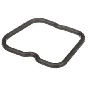 Fpt Industrial - 504053522FPT - Dichtung