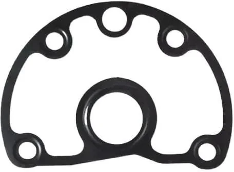 Fpt Industrial - 504147366FPT - Dichtung
