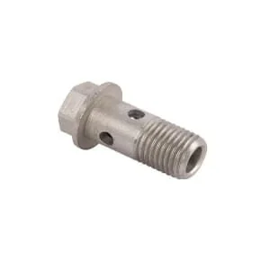 Fpt Industrial - 504266555FPT - Banjoschraube