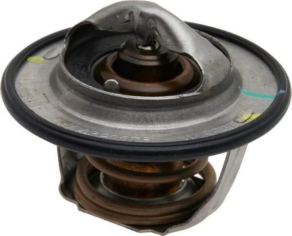 Fpt Industrial - 504380075FPT - Thermostat