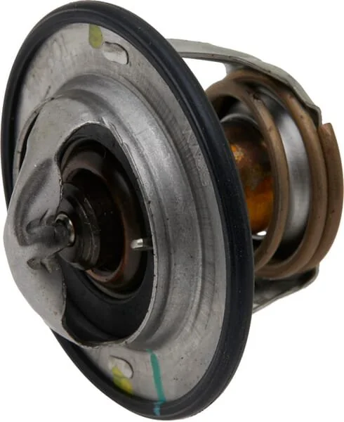 Fpt Industrial - 504380075FPT - Thermostat