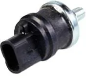 Fpt Industrial - 504386258FPT - Öldrucksensor