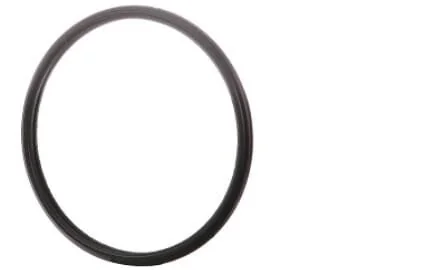 Fpt Industrial - 504387771FPT - Dichtung
