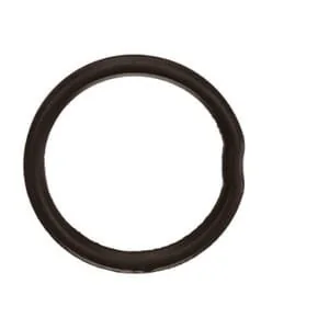 Fpt Industrial - 5801363175FPT - Dichtung