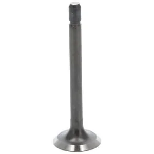 Fpt Industrial - 5801892577FPT - Auspuffventil