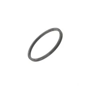 Fpt Industrial - 5802455380FPT - Dichtungsring