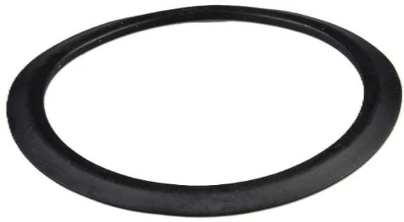 Fpt Industrial - 8097518FPT - Dichtung