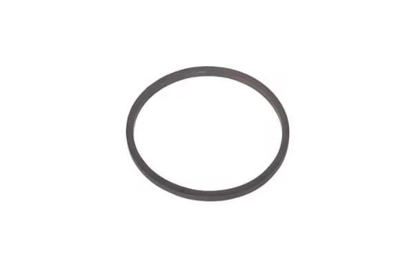 Fpt Industrial - 98429617FPT - Gummiring