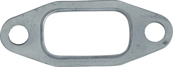 Glaser Dana - 1756323N - Verteiler Dichtung