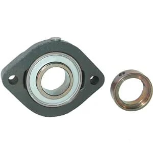 INA