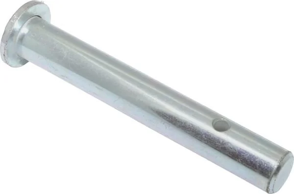 JF - 813122139X - Dübel