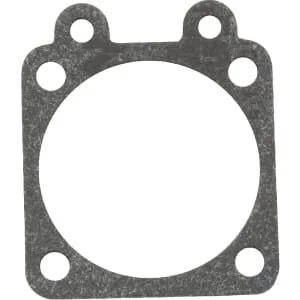 Kawasaki - 110602456 - Dichtung