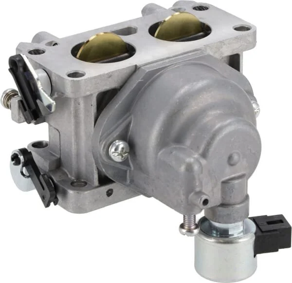 Kawasaki - 150041009 - Vergaserbaugruppe