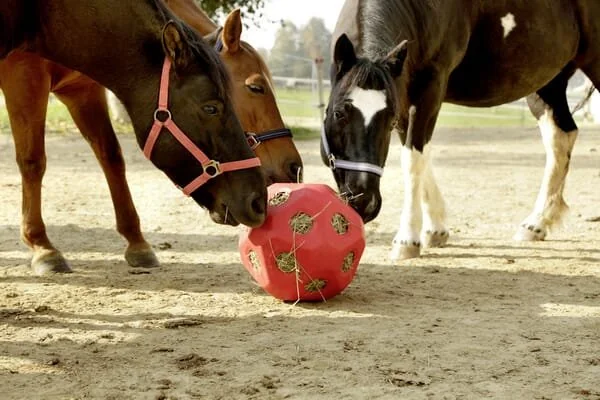 Kerbl - 3210386KER - Futterspielball rot für Pferde