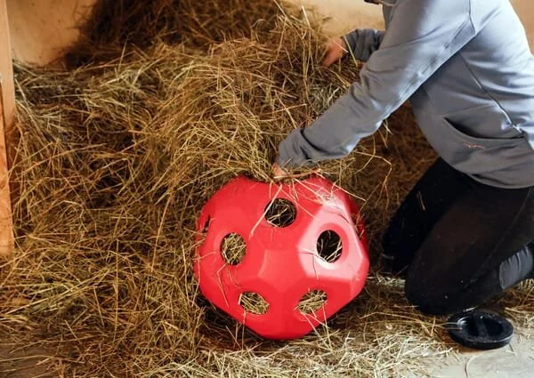 Kerbl - 3210386KER - Futterspielball rot für Pferde
