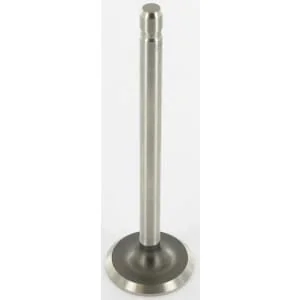 Kohler - 235008S - Ansaugventil