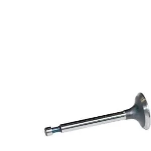 Kramp - FGP014354 - Einlassventil Passend für Briggs & Stratton 262247S