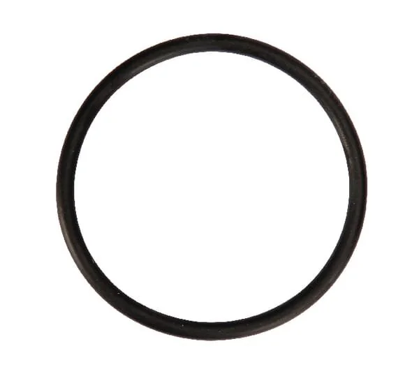 Kverneland Rau - RG00058962 - Dichtung Rau