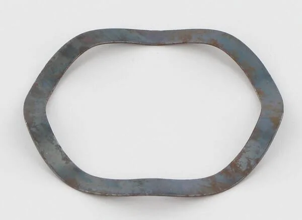 Lely - 9104900125 - Federring 51x42