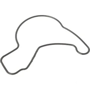 Lombardini - 1200292 - O-Ring