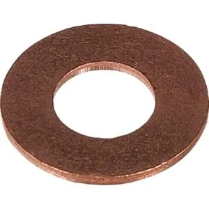 Lombardini - 4670099 - Ring