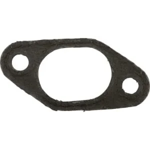 Lombardini - ED00450R0130S - Dichtung