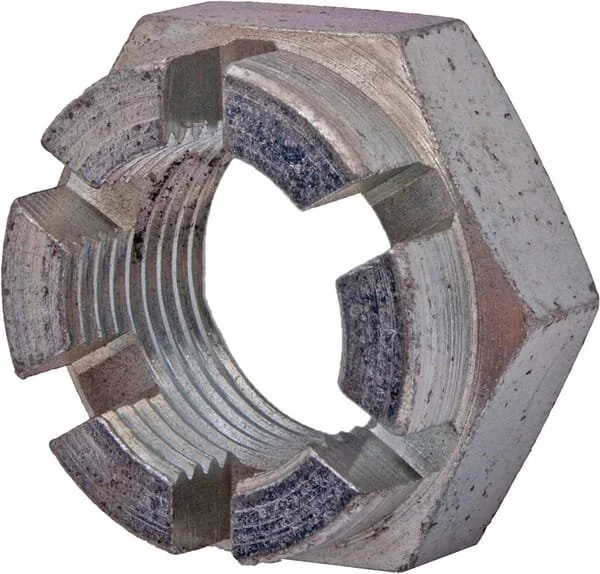 Maschio - B00851527R - Mutter