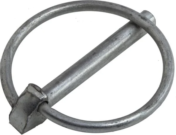 Maschio