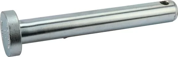 Maschio - F20100140R - Stift D32 L208 C43ZN