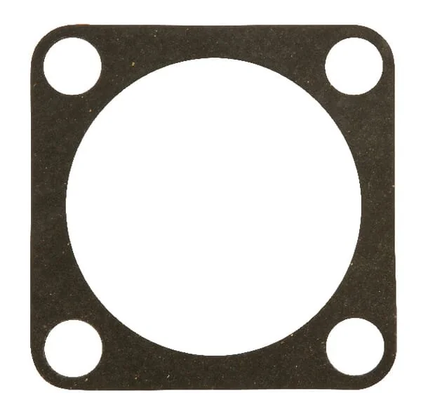 Maschio - M10100308R - Dichtung