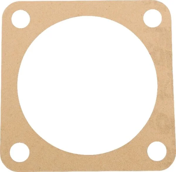 Maschio - M10100315R - Dichtung