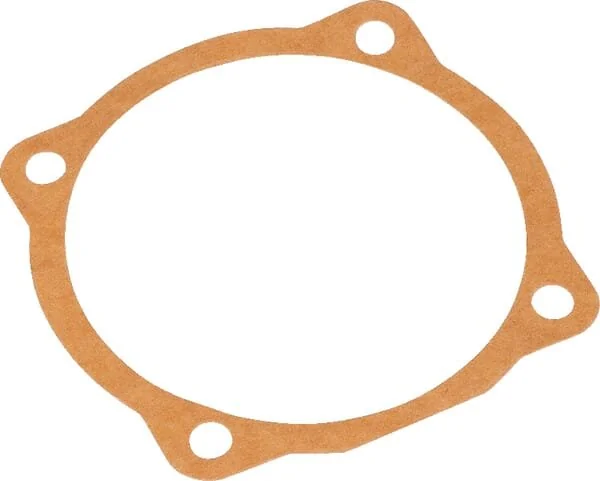 Maschio - M29100107R - Dichtung 0.1mm
