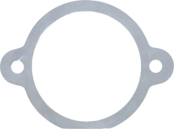 Maschio - M29100129R - Dichtung 0.05mm