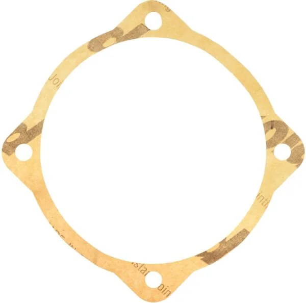 Maschio - M48000109R - Dichtung 0.1mm